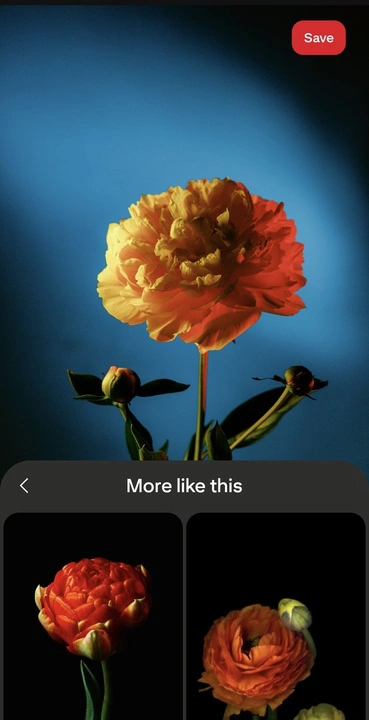How to Check If a Photo Was Stolen in Pinterest