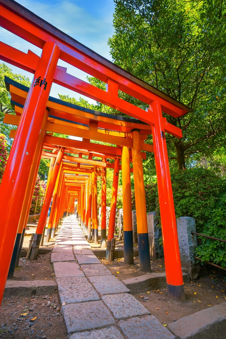 Nezu Shrine 1