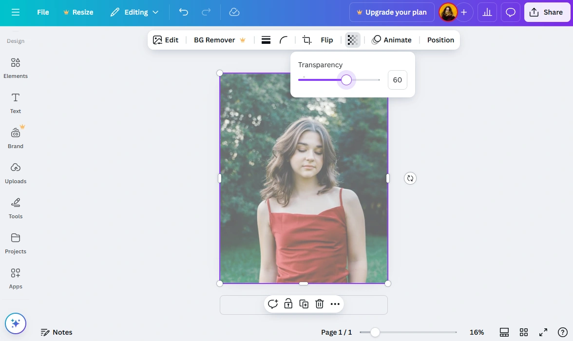 How To Make A Photo Transparent Using Canva